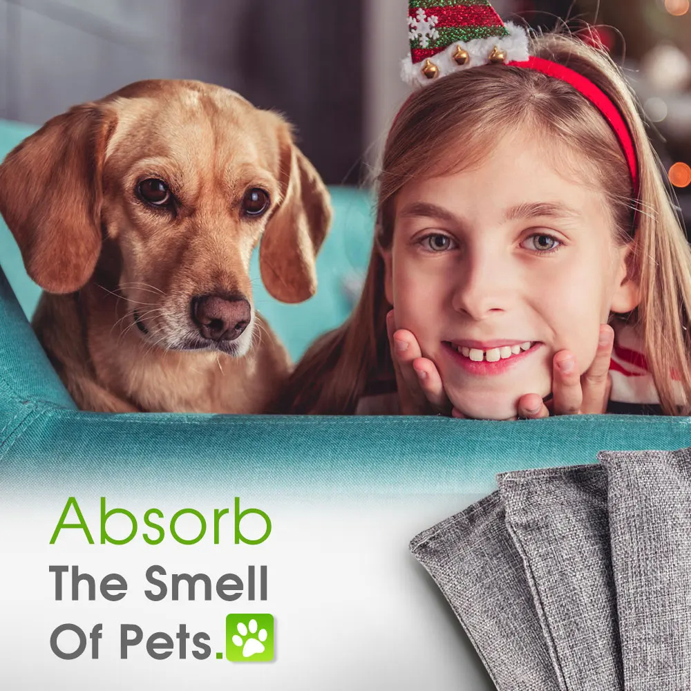 Sacs de charbon de bambou abso - Odor Eliminator Car avis et prix